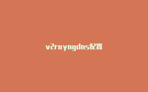 v2rayngdns配置-v2rayng