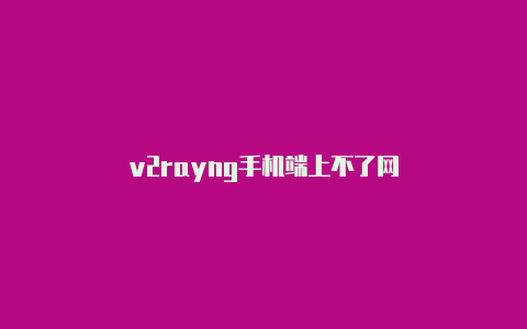 v2rayng手机端上不了网