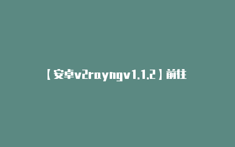 【安卓v2rayngv1.1.2】前往 安全性 或 隐
