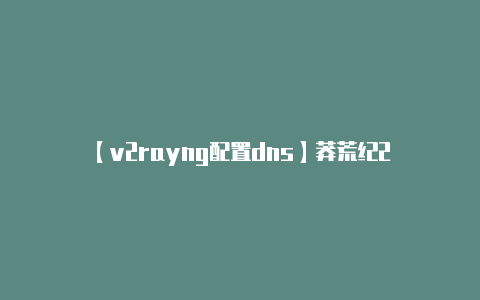 【v2rayng配置dns】莽荒纪2