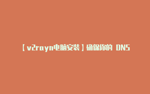 【v2rayn电脑安装】确保你的 DNS 设