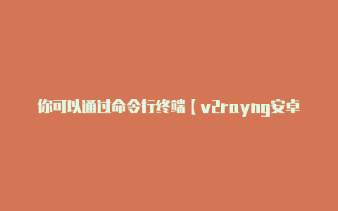 你可以通过命令行终端【v2rayng安卓使用方法】