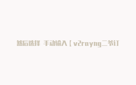 然后选择 手动输入【v2rayng二爷订阅】