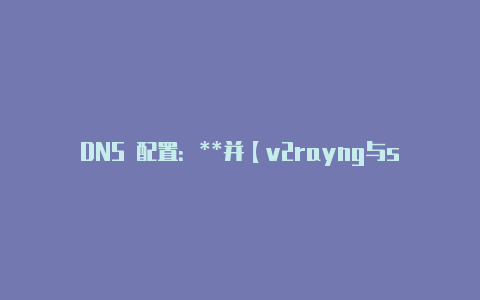 DNS 配置:**并【v2rayng与ssr】
